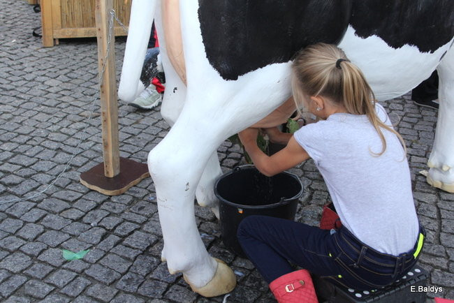 Jarmark pomysłów (zdjęcia)