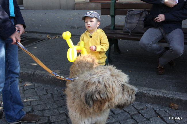 Jarmark pomysłów (zdjęcia)