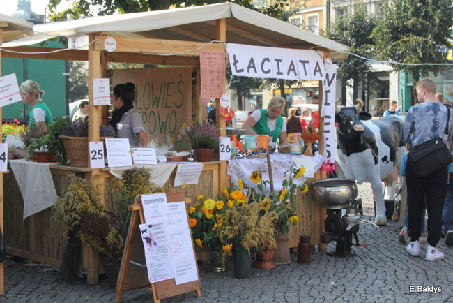 Jarmark pomysłów (zdjęcia)