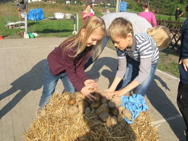 Święto pieczonego ziemniaka w Dąbczu (zdjęcia)