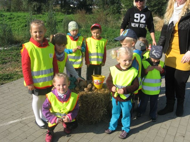 Święto pieczonego ziemniaka w Dąbczu (zdjęcia)
