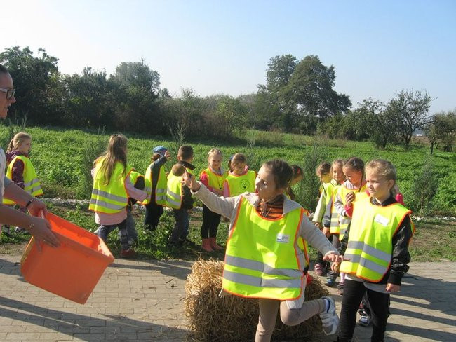 Święto pieczonego ziemniaka w Dąbczu (zdjęcia)