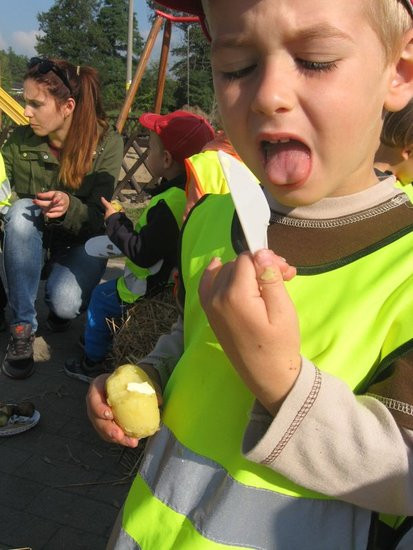 Święto pieczonego ziemniaka w Dąbczu (zdjęcia)