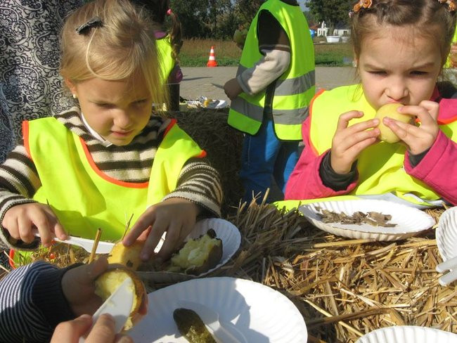 Święto pieczonego ziemniaka w Dąbczu (zdjęcia)