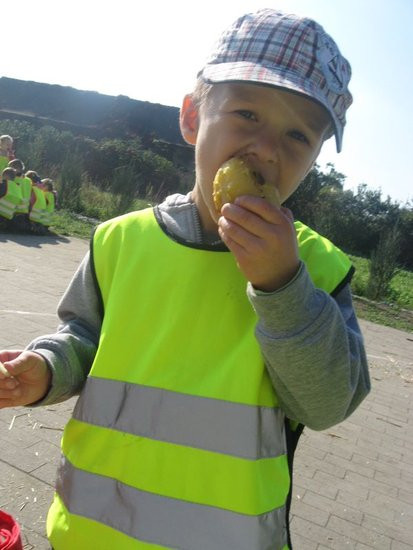 Święto pieczonego ziemniaka w Dąbczu (zdjęcia)