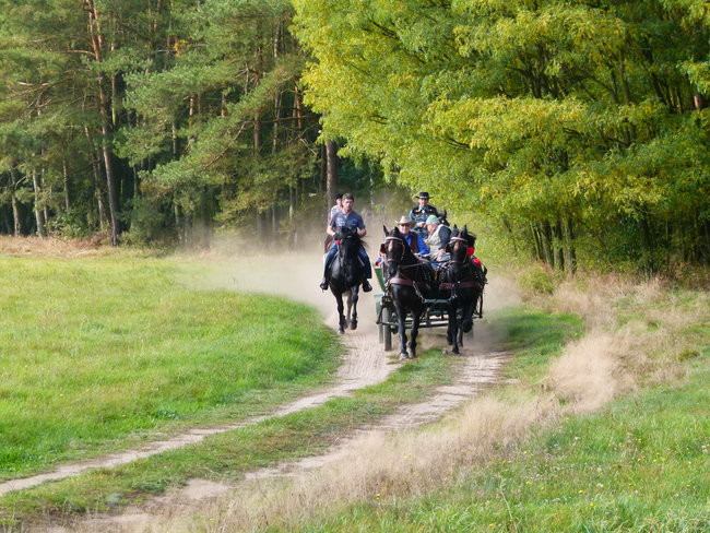 Rekord w Wilkowicach (zdjęcia)