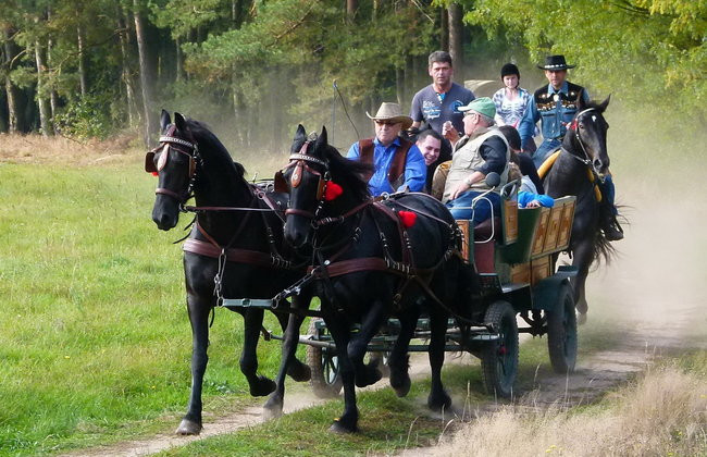 Rekord w Wilkowicach (zdjęcia)