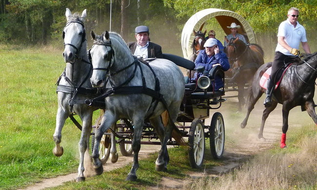 Rekord w Wilkowicach (zdjęcia)