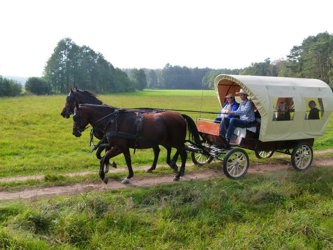 Rekord w Wilkowicach (zdjęcia)