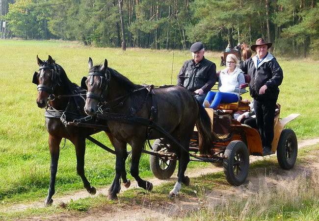 Rekord w Wilkowicach (zdjęcia)