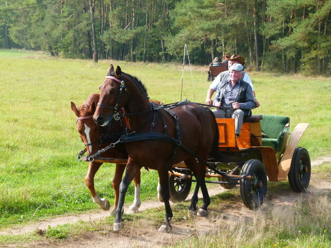 Rekord w Wilkowicach (zdjęcia)