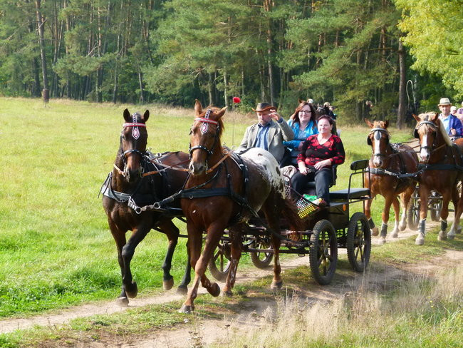Rekord w Wilkowicach (zdjęcia)