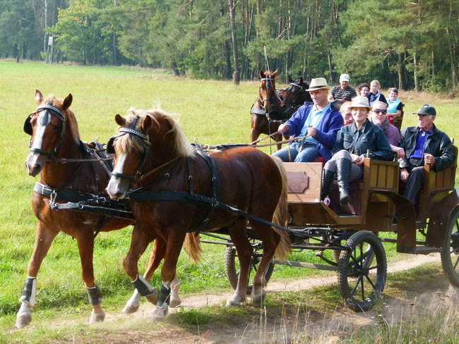 Rekord w Wilkowicach (zdjęcia)