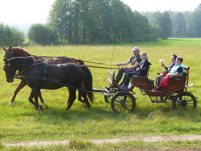 Rekord w Wilkowicach (zdjęcia)