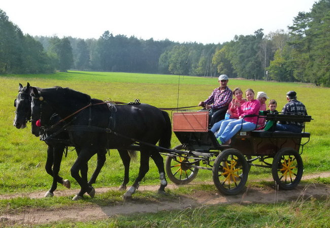 Rekord w Wilkowicach (zdjęcia)