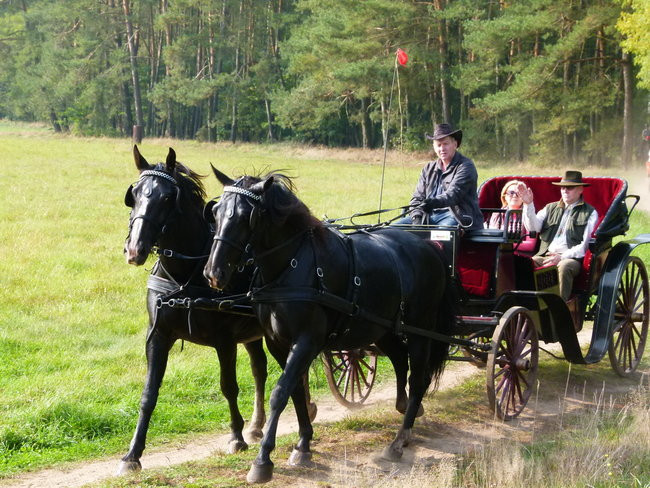 Rekord w Wilkowicach (zdjęcia)