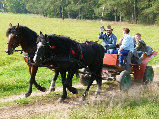 Rekord w Wilkowicach (zdjęcia)