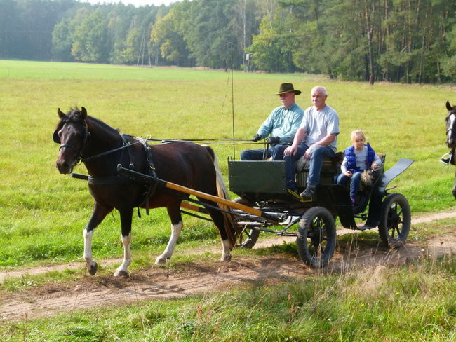 Rekord w Wilkowicach (zdjęcia)