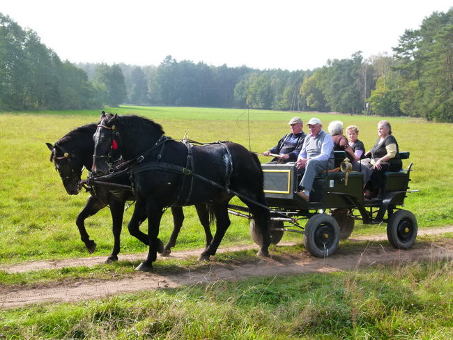 Rekord w Wilkowicach (zdjęcia)