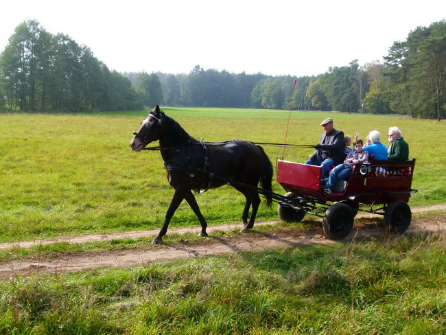 Rekord w Wilkowicach (zdjęcia)