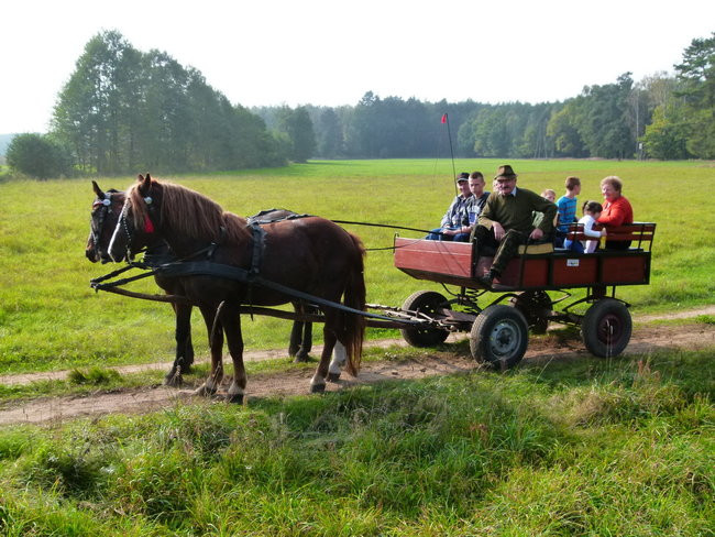 Rekord w Wilkowicach (zdjęcia)