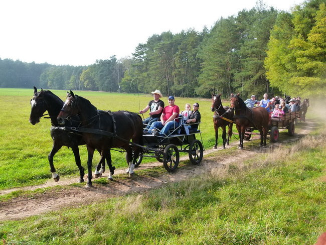 Rekord w Wilkowicach (zdjęcia)