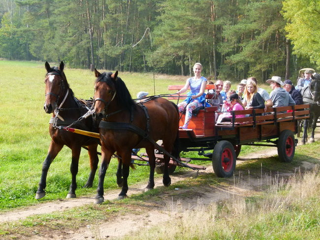 Rekord w Wilkowicach (zdjęcia)