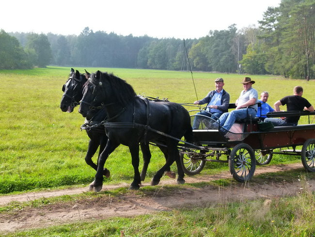 Rekord w Wilkowicach (zdjęcia)