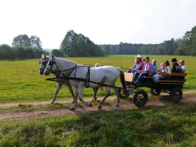 Rekord w Wilkowicach (zdjęcia)