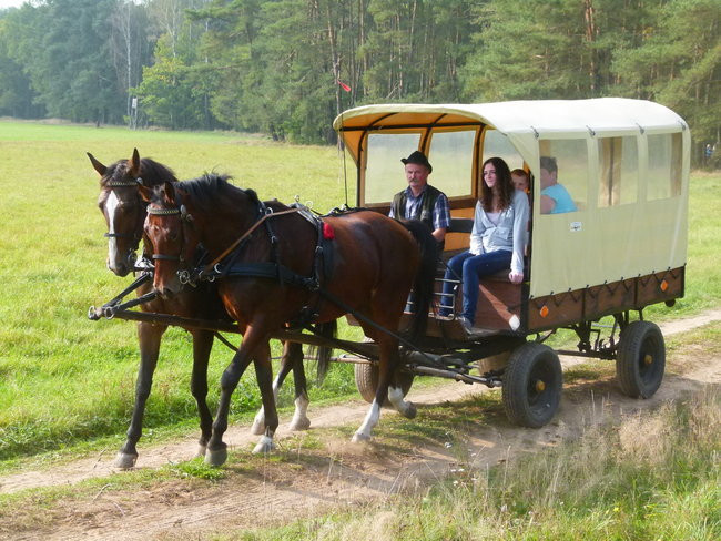Rekord w Wilkowicach (zdjęcia)
