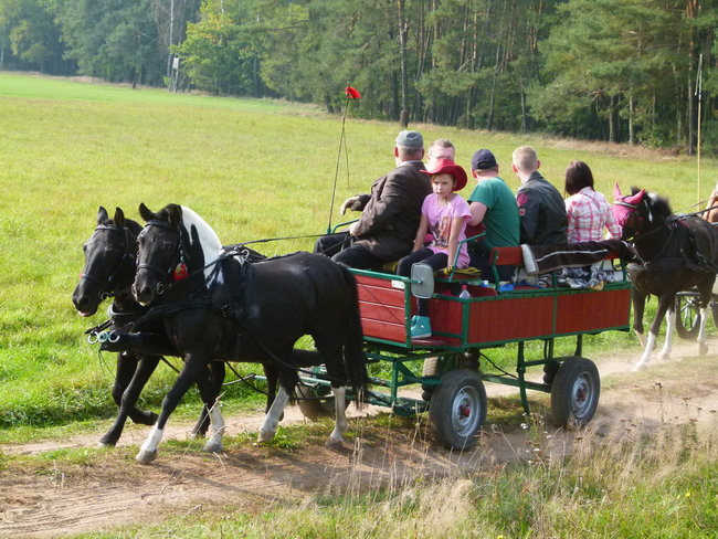 Rekord w Wilkowicach (zdjęcia)
