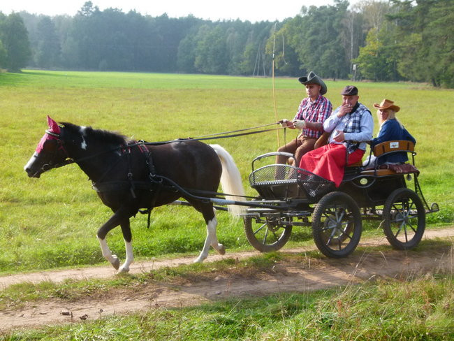 Rekord w Wilkowicach (zdjęcia)