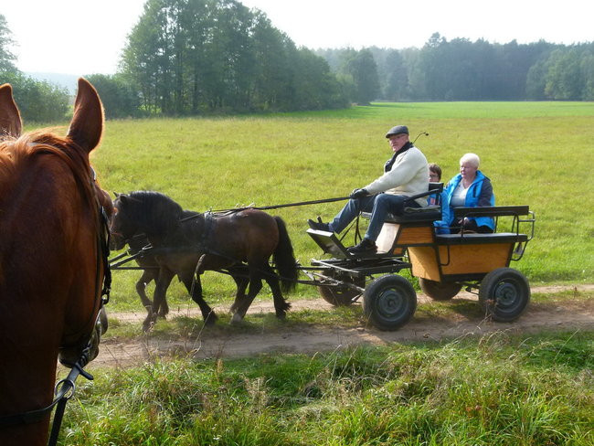 Rekord w Wilkowicach (zdjęcia)