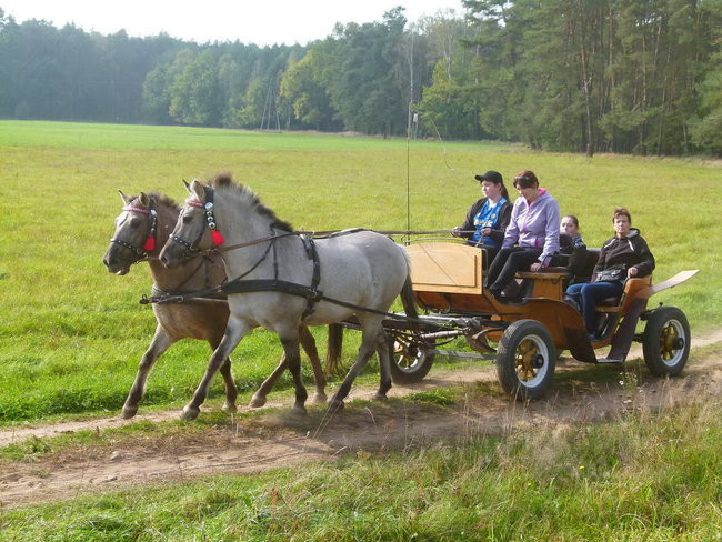 Rekord w Wilkowicach (zdjęcia)