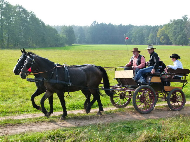 Rekord w Wilkowicach (zdjęcia)