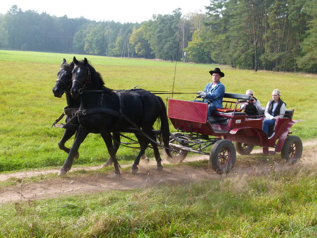 Rekord w Wilkowicach (zdjęcia)