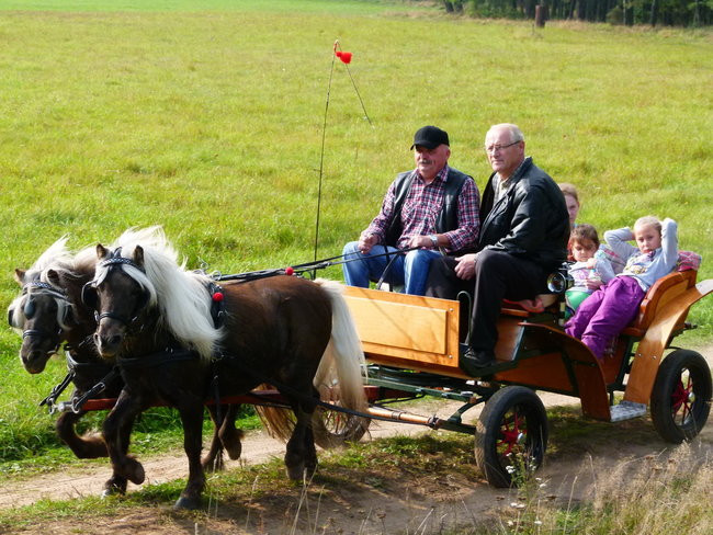 Rekord w Wilkowicach (zdjęcia)