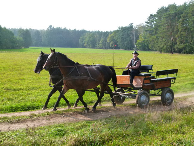 Rekord w Wilkowicach (zdjęcia)
