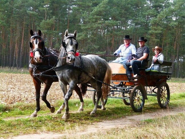 Rekord w Wilkowicach (zdjęcia)