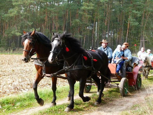 Rekord w Wilkowicach (zdjęcia)