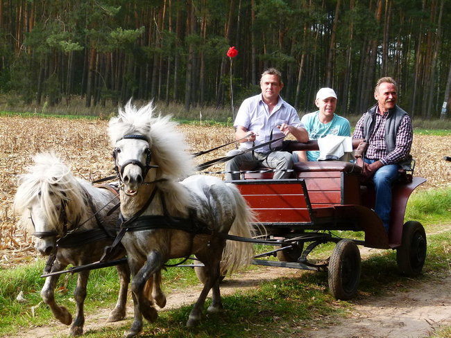 Rekord w Wilkowicach (zdjęcia)
