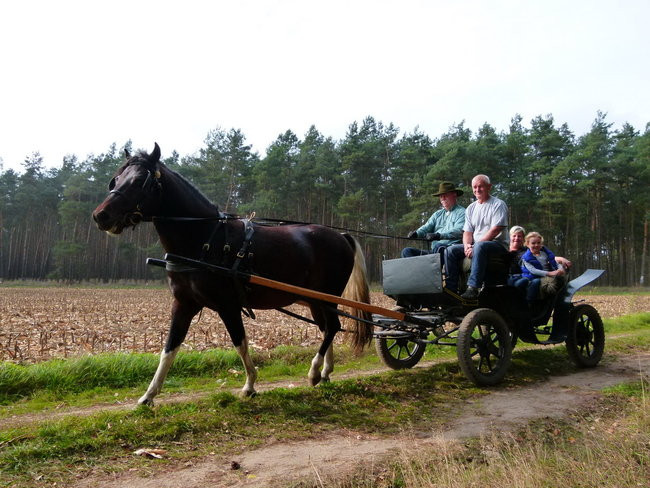 Rekord w Wilkowicach (zdjęcia)