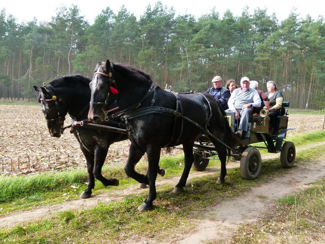 Rekord w Wilkowicach (zdjęcia)