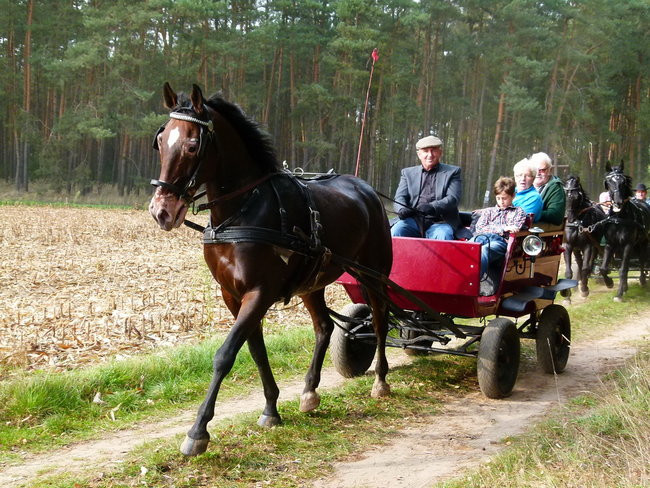 Rekord w Wilkowicach (zdjęcia)
