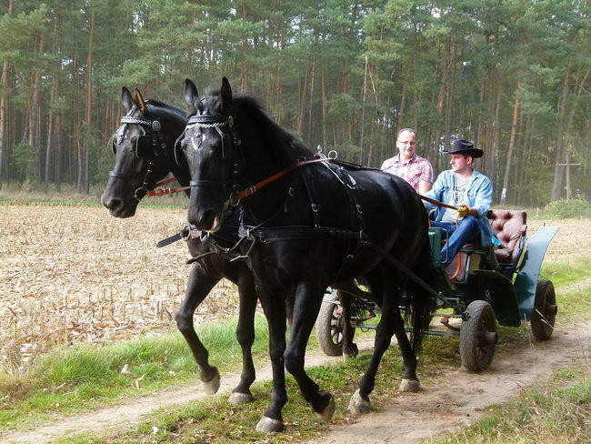 Rekord w Wilkowicach (zdjęcia)