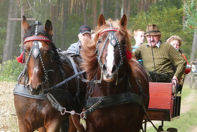 Rekord w Wilkowicach (zdjęcia)