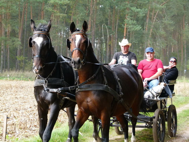 Rekord w Wilkowicach (zdjęcia)
