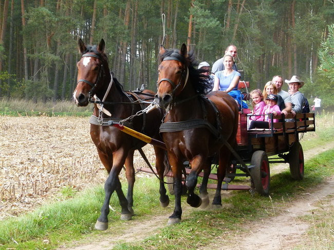 Rekord w Wilkowicach (zdjęcia)