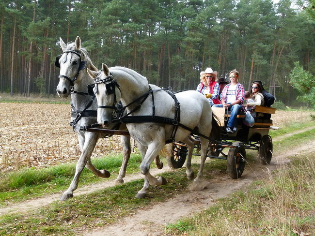Rekord w Wilkowicach (zdjęcia)