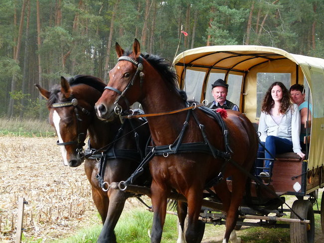 Rekord w Wilkowicach (zdjęcia)